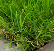 Тропикана 35мм Тропикана 35мм фото 2 | FLOORDEALER